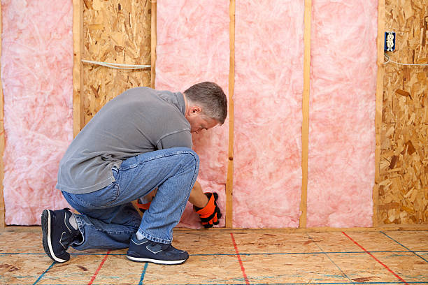 Best Insulation for Specific Applications in Sky Lake, FL